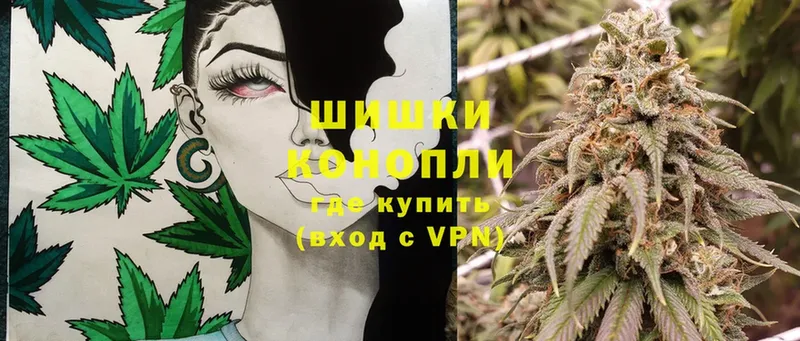 купить наркотики сайты  мега tor  Шишки марихуана White Widow  Прокопьевск 